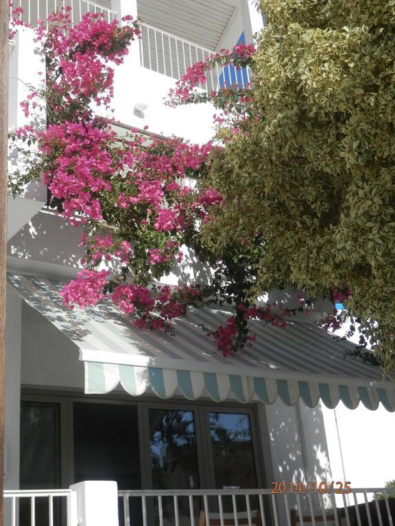 أغيا غاليني Glaros Hotel Apartment الغرفة الصورة